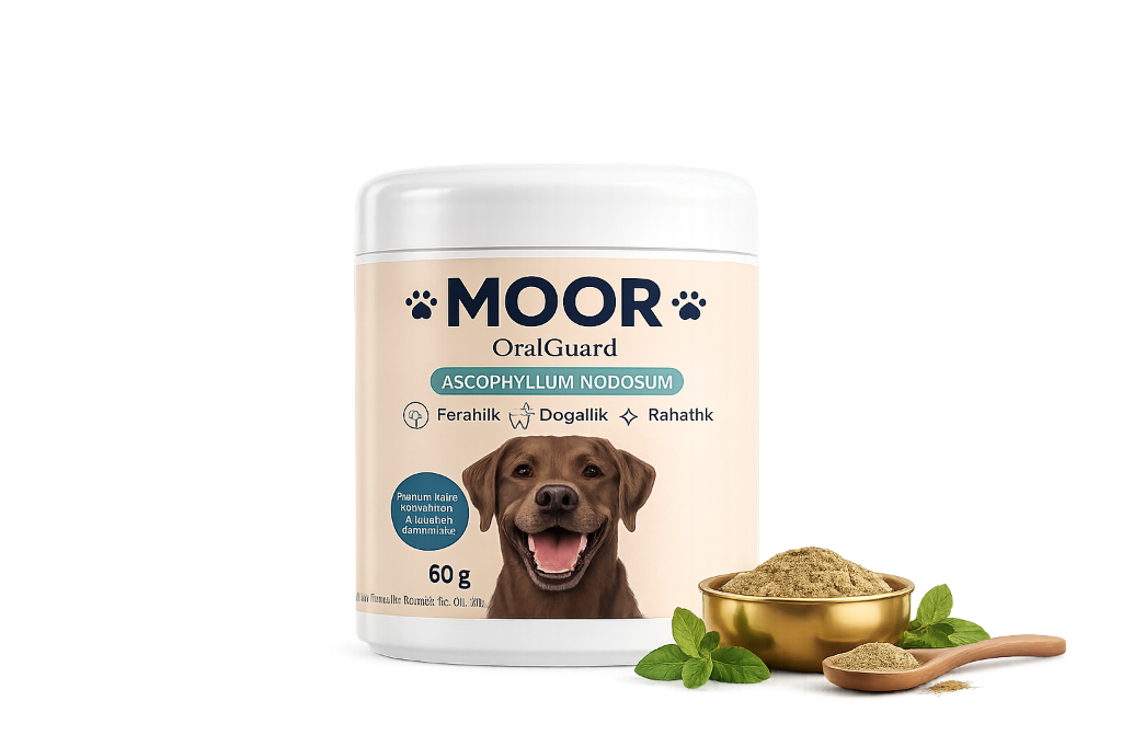 MOOR OralGuard